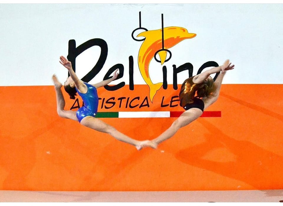 Benvenuti su asddelfino.com!